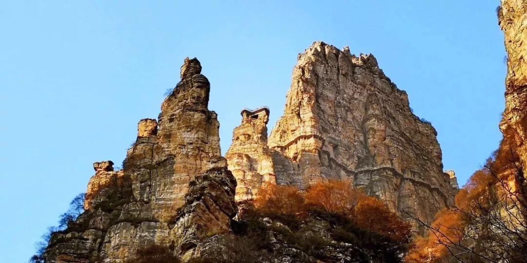 解惑蜗牛-关于这是什么?像极了爱情的问答平台